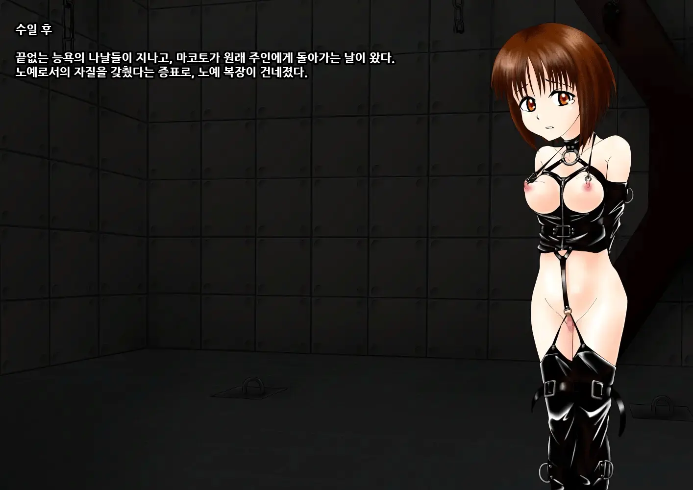 Dorei Trainer | 노예 트레이너
